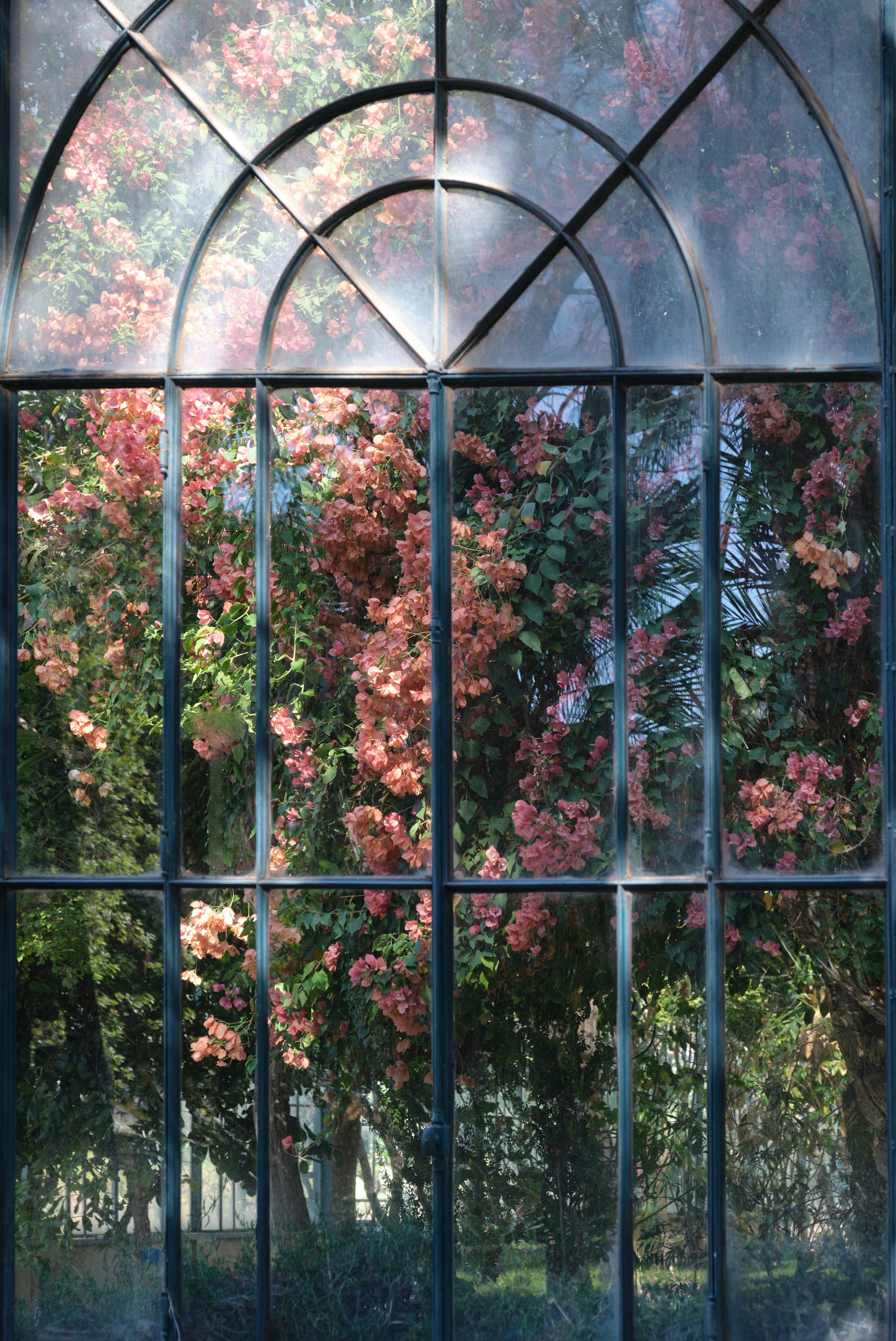 Orto Botanico